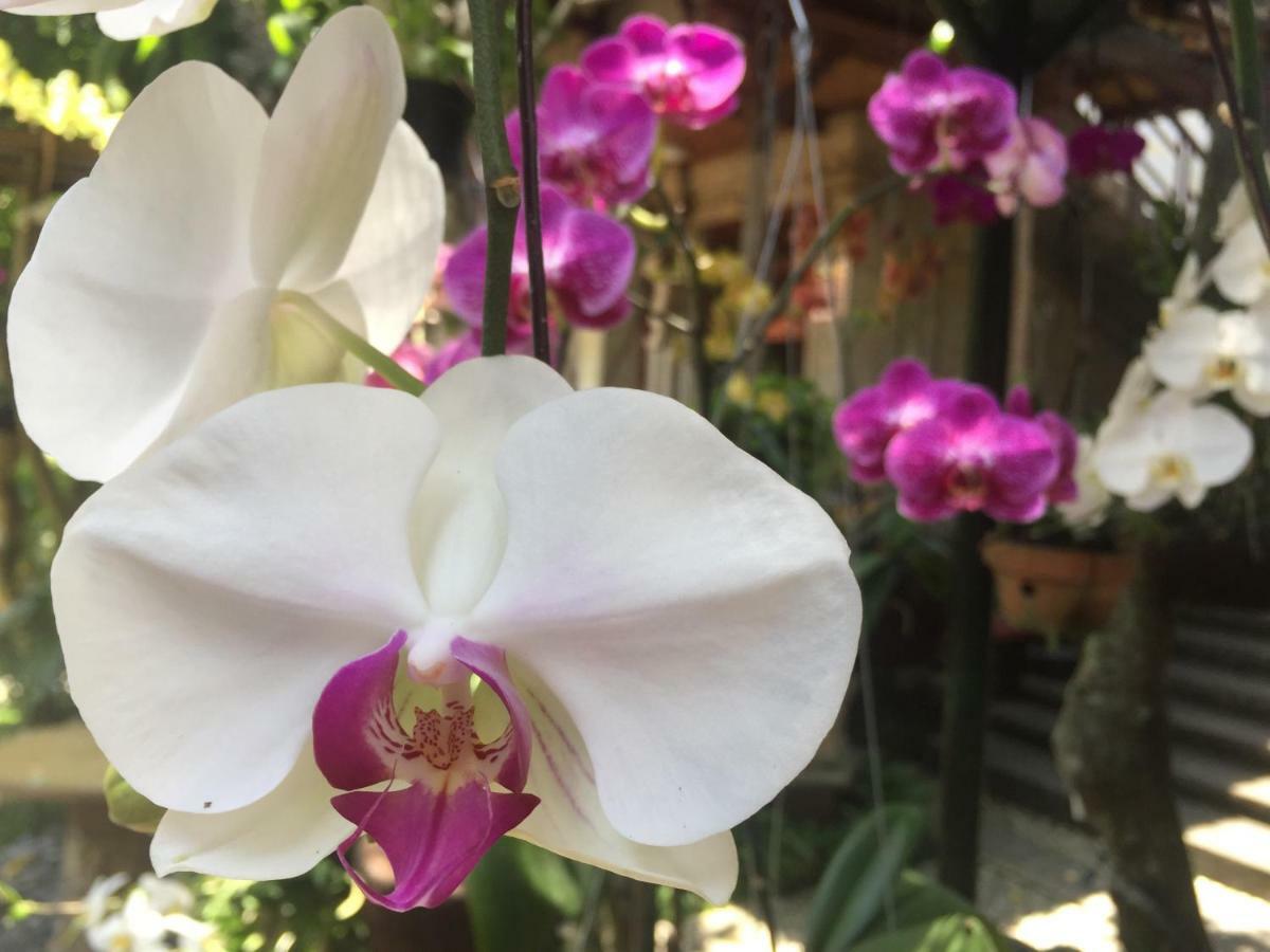 Tungeh Inn Ubud Eksteriør bilde