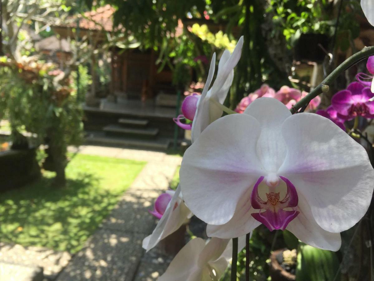 Tungeh Inn Ubud Eksteriør bilde