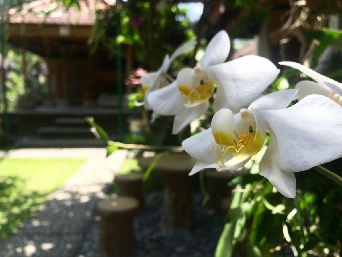 Tungeh Inn Ubud Eksteriør bilde